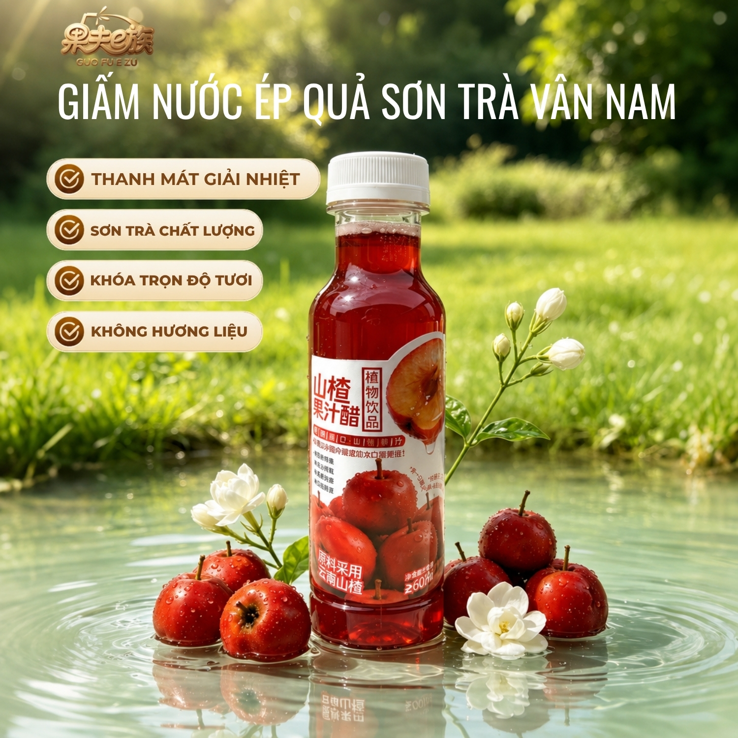 nước sơn trà (5)